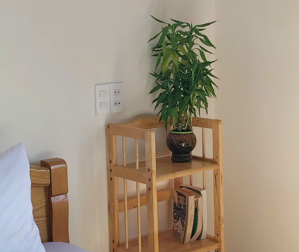 Cam Ly Homestay主图