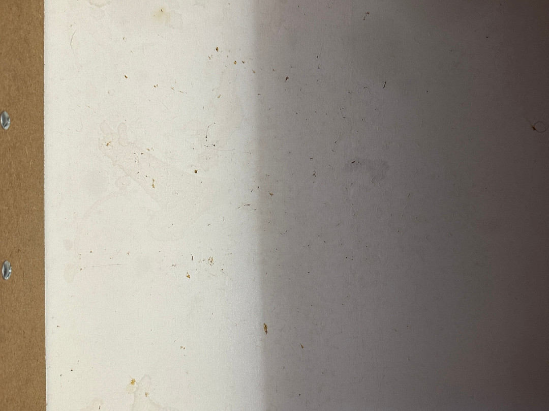 Days Inn by Wyndham Lake Point主图