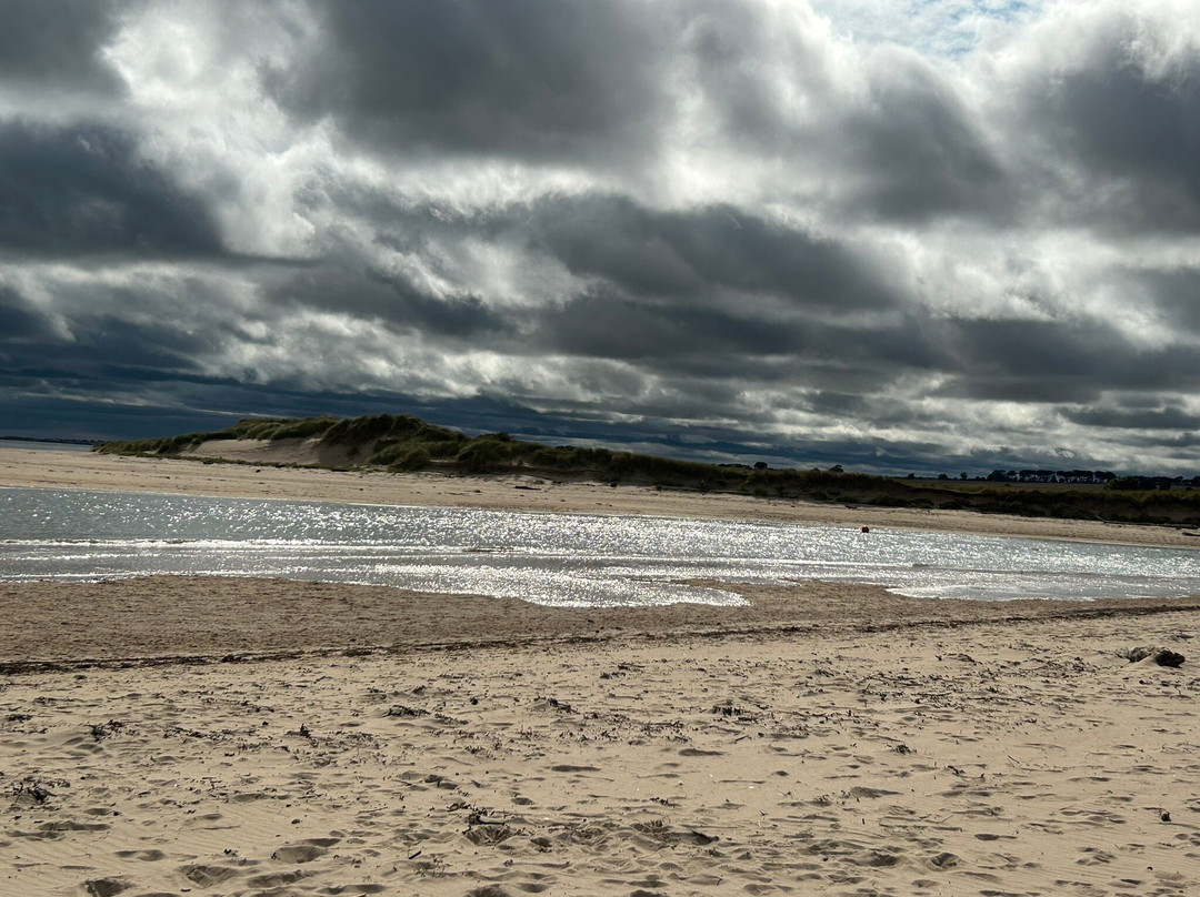 Alnmouth Beach景点图片