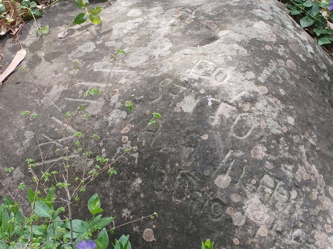 Termas de Cauquenes主图