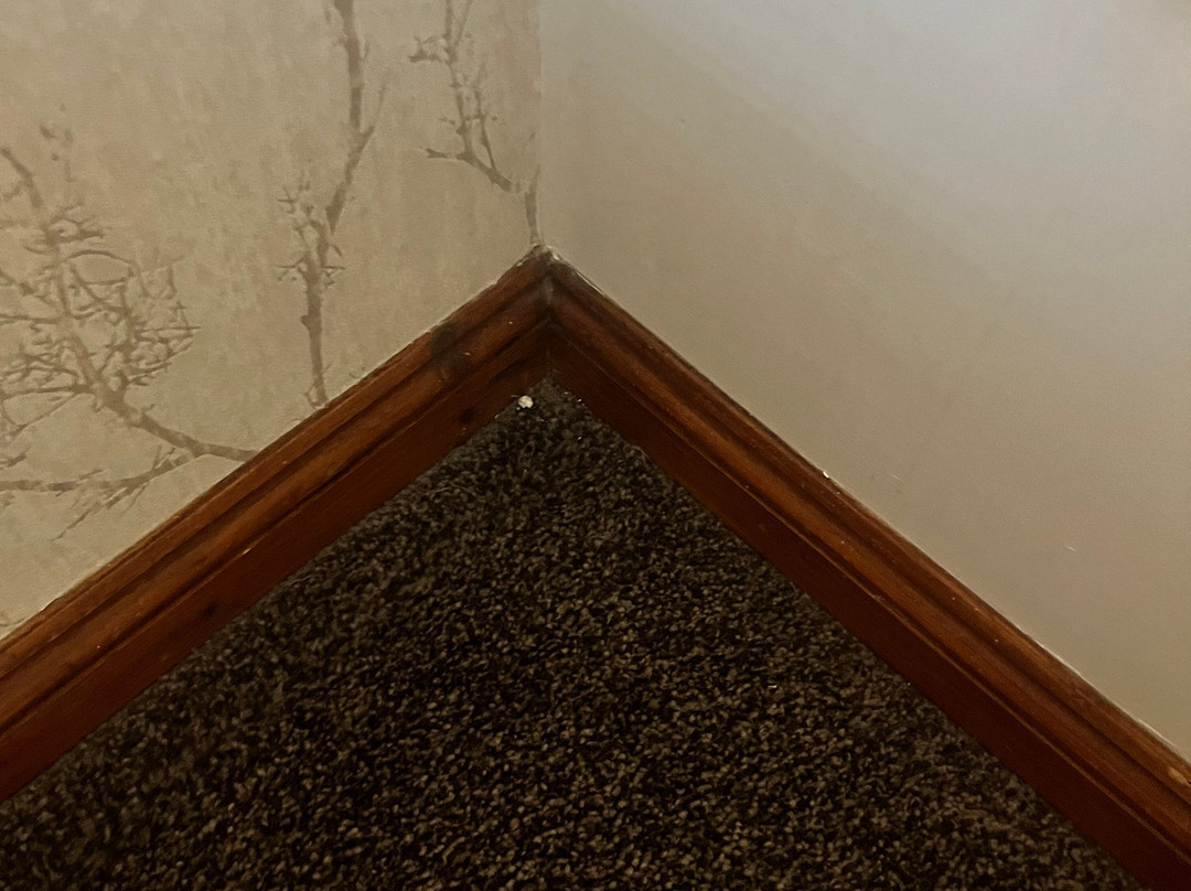 The Quay Bed & Breakfast主图