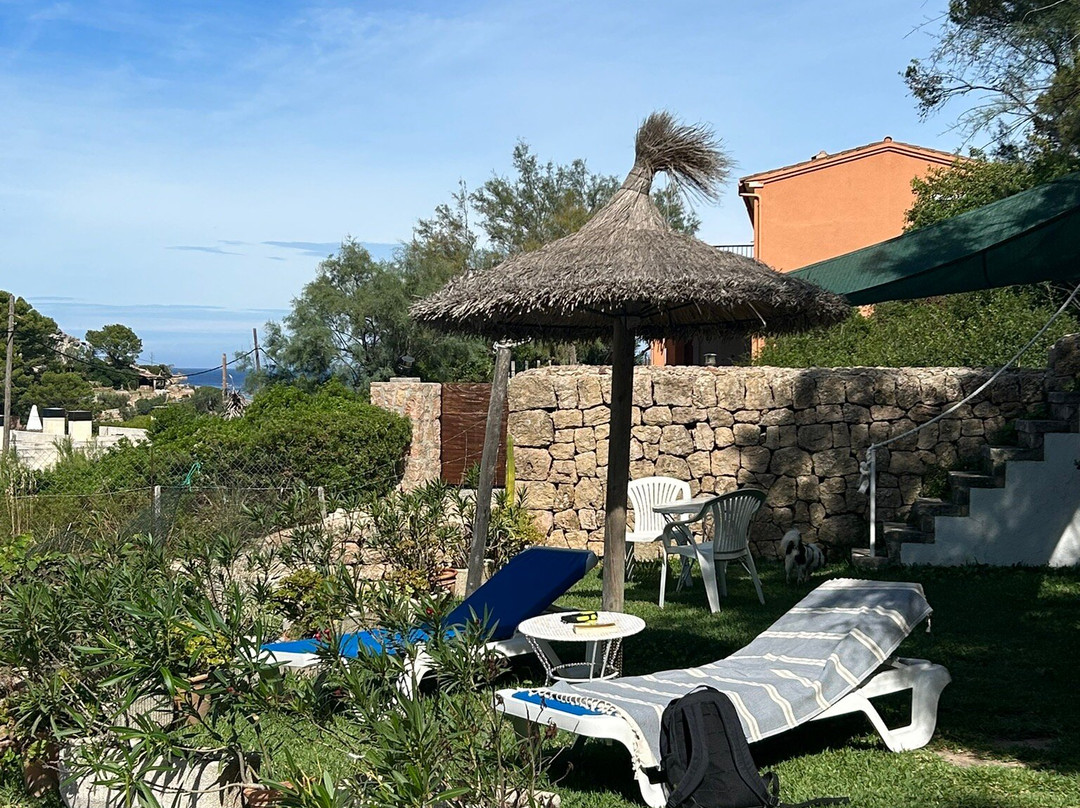 Hostal Los Pinos主图