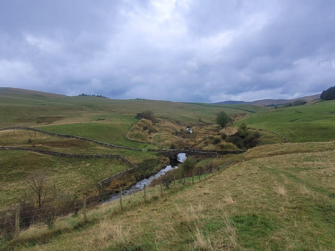 Smardale Gill Nature Reserve景点图片