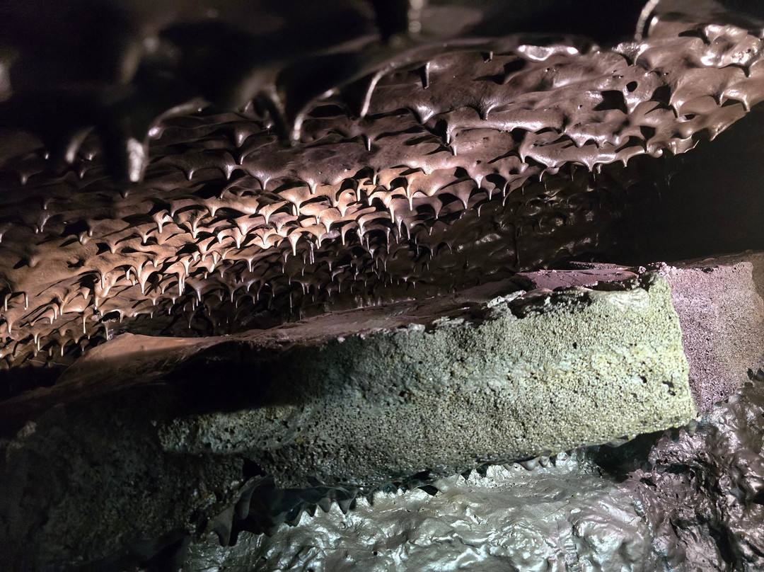 Tunnels De Lave, Envergure Réunion景点图片