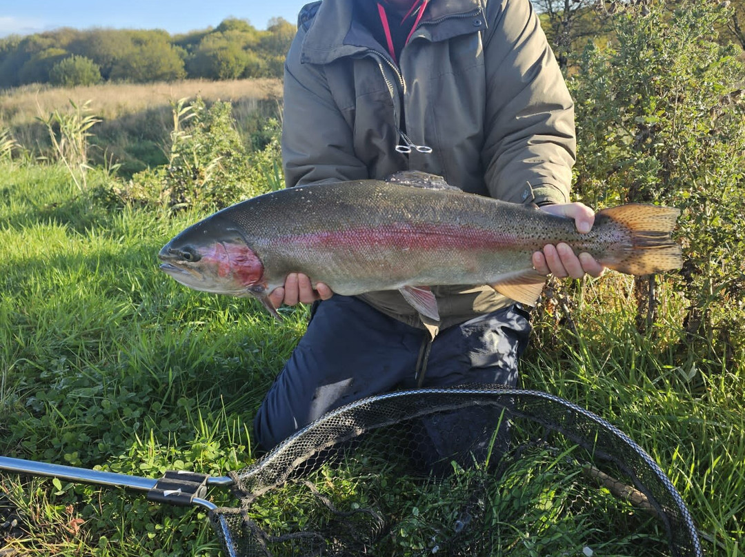 Birchwood Fishery-Drumquin必去景点