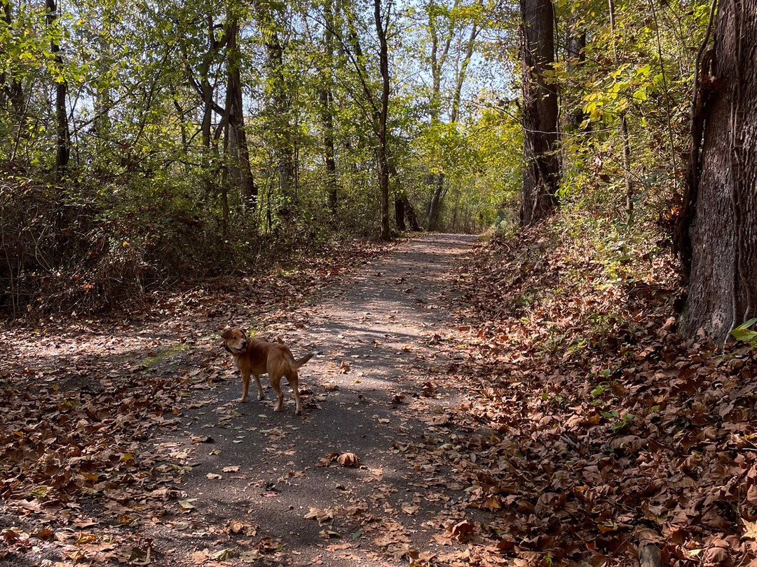 Pricketts Fort State Park-Fairmont必去景点