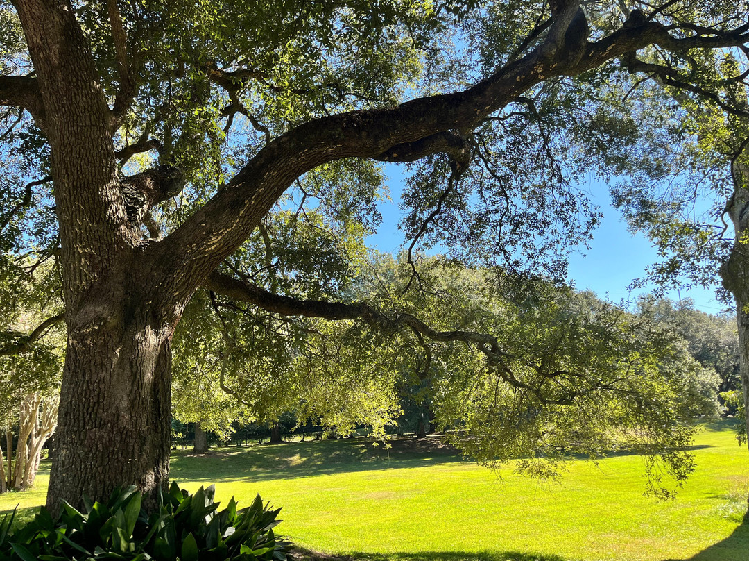 Dunleith Historic Inn主图