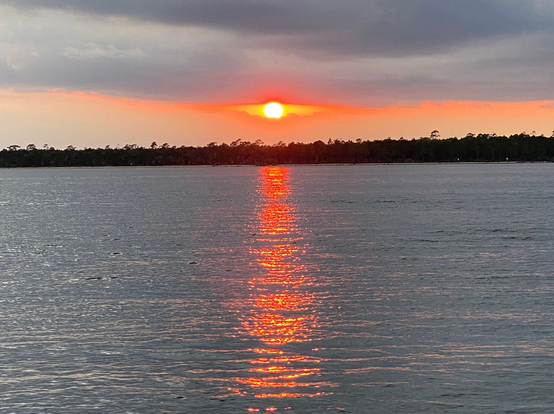 Dolphin Cruise aboard the Cold Mil Fleet-橙色海湾必去景点