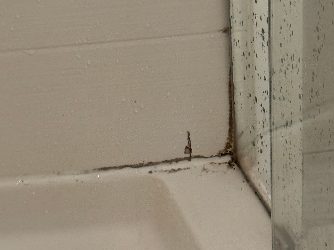 Holiday Inn Knoxville N - Merchant Drive By IHG主图