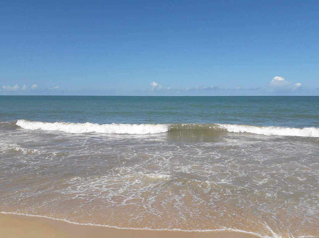 Praia dos Coqueiros-特兰科苏必去景点