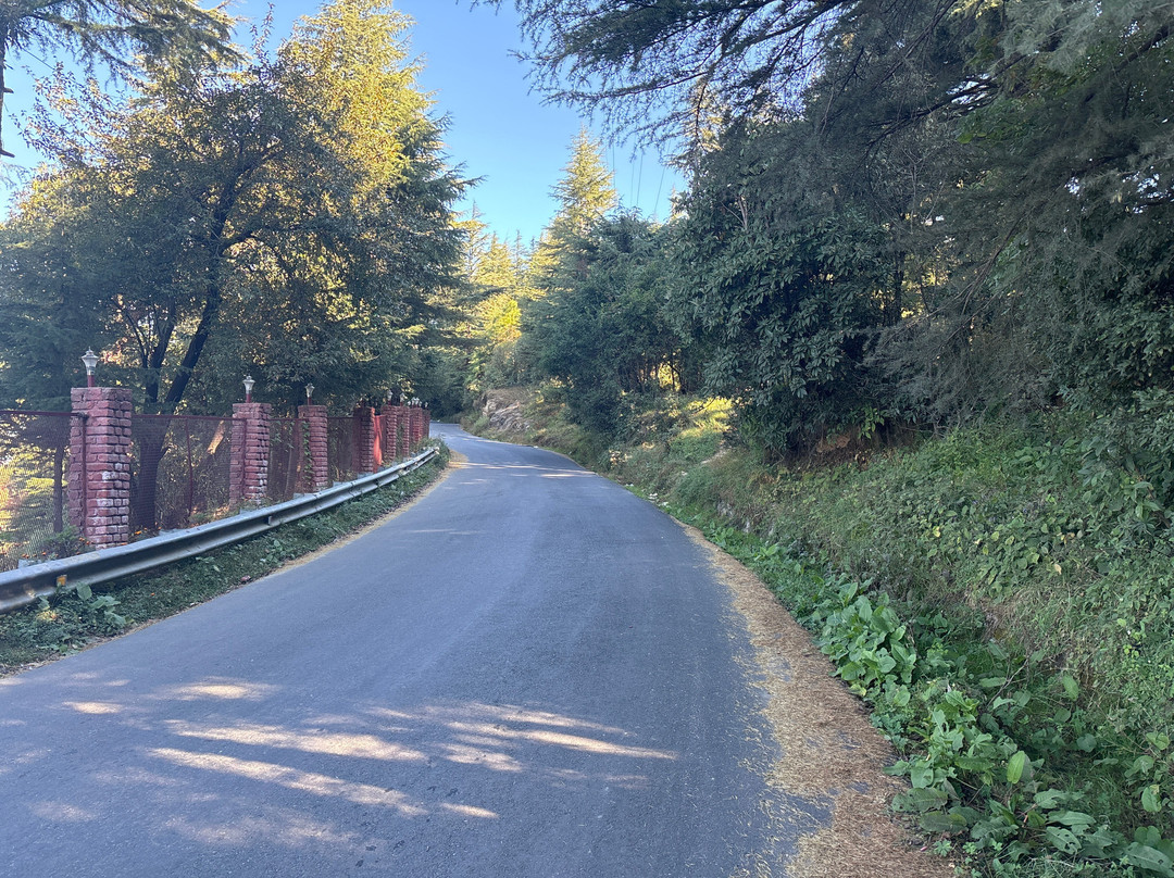 The Himalayan Village ( Kiwi Kanatal )主图