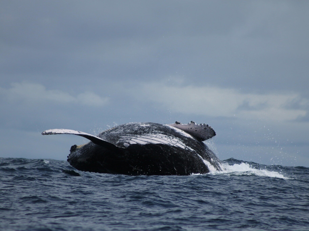 Ecohotel Linda Judith主图