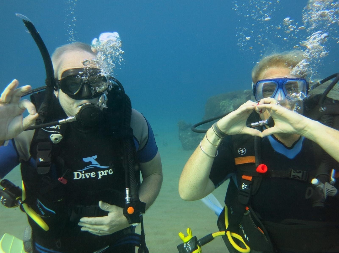 blue planet diving group-沙姆沙伊赫必去景点