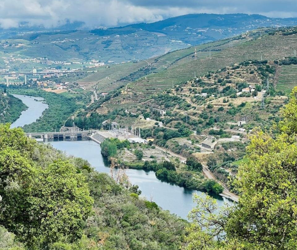 Quinta da Pinguinha - Douro