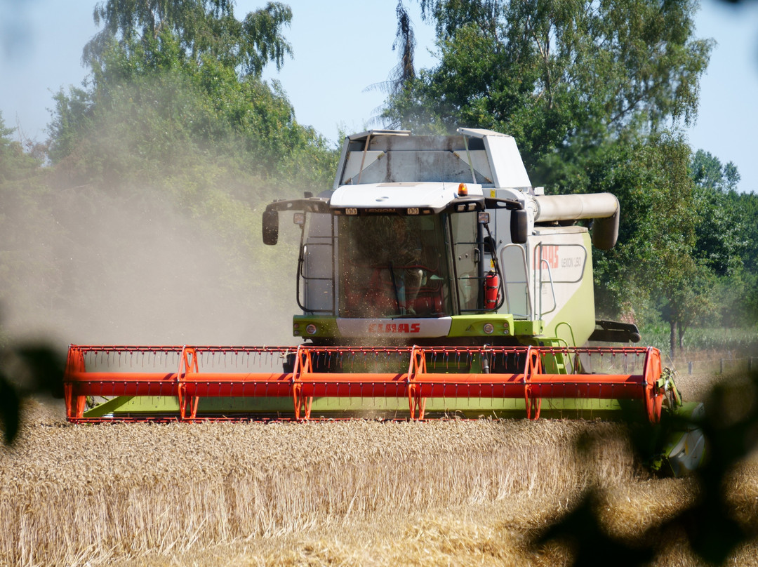 Edelkorn-brennerei Jos. Rosche-Haselunne必去景点