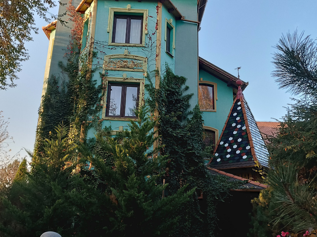 Vinski Dvor景点图片