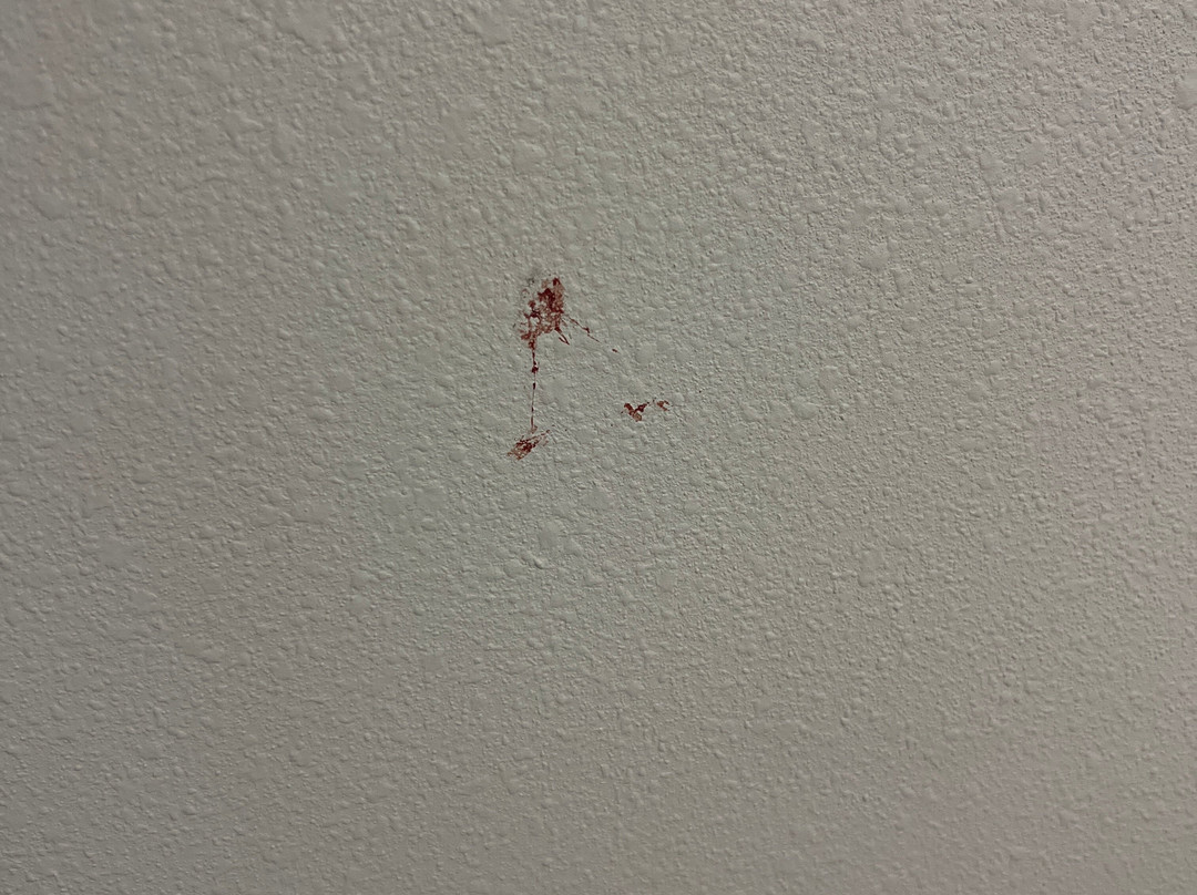 Days Inn by Wyndham Lake Charles主图