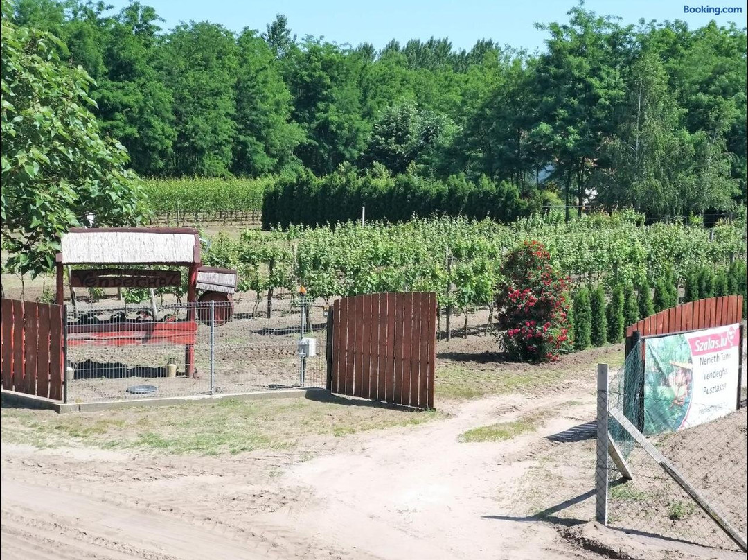 内梅特农场小屋