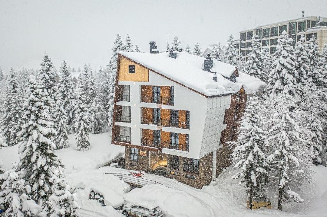 Forest Villa