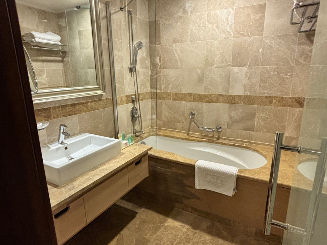 El Aurassi Hotel主图