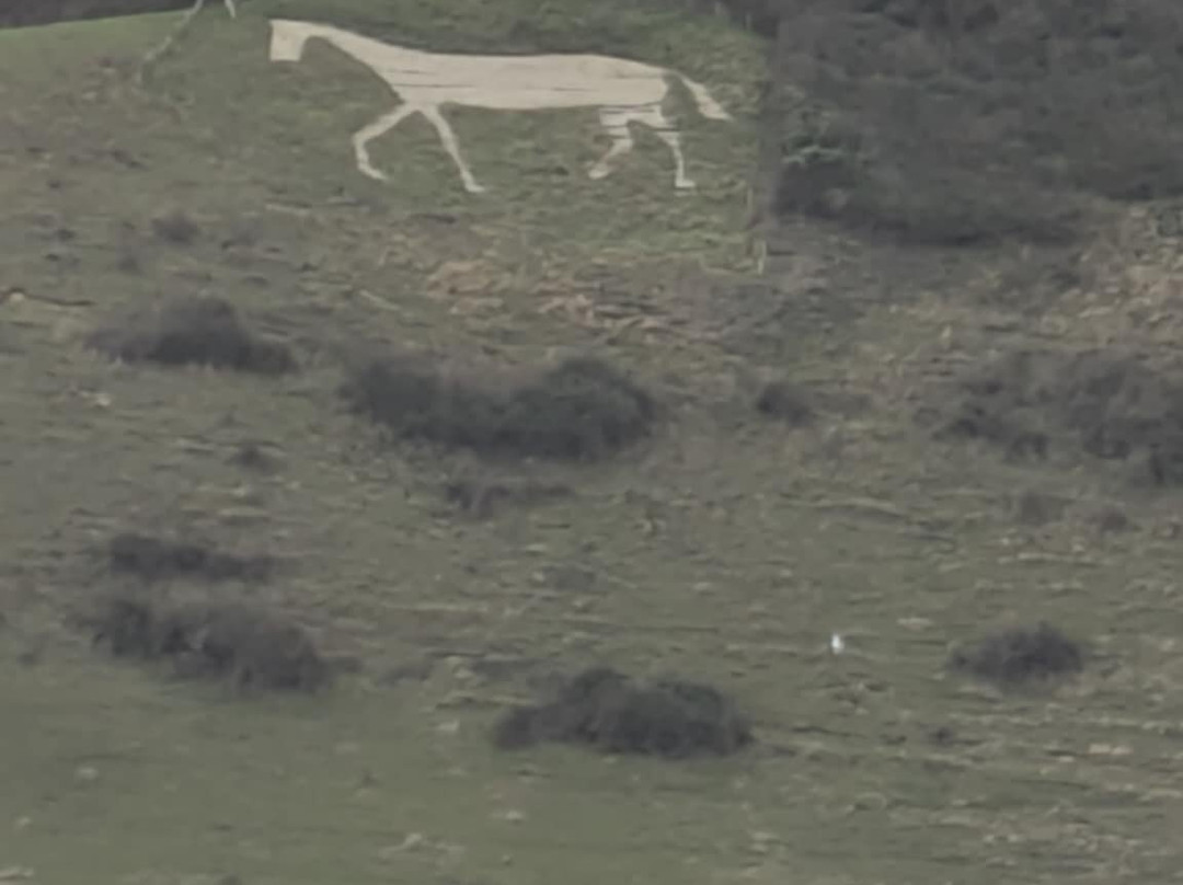 Litlington White Horse景点图片