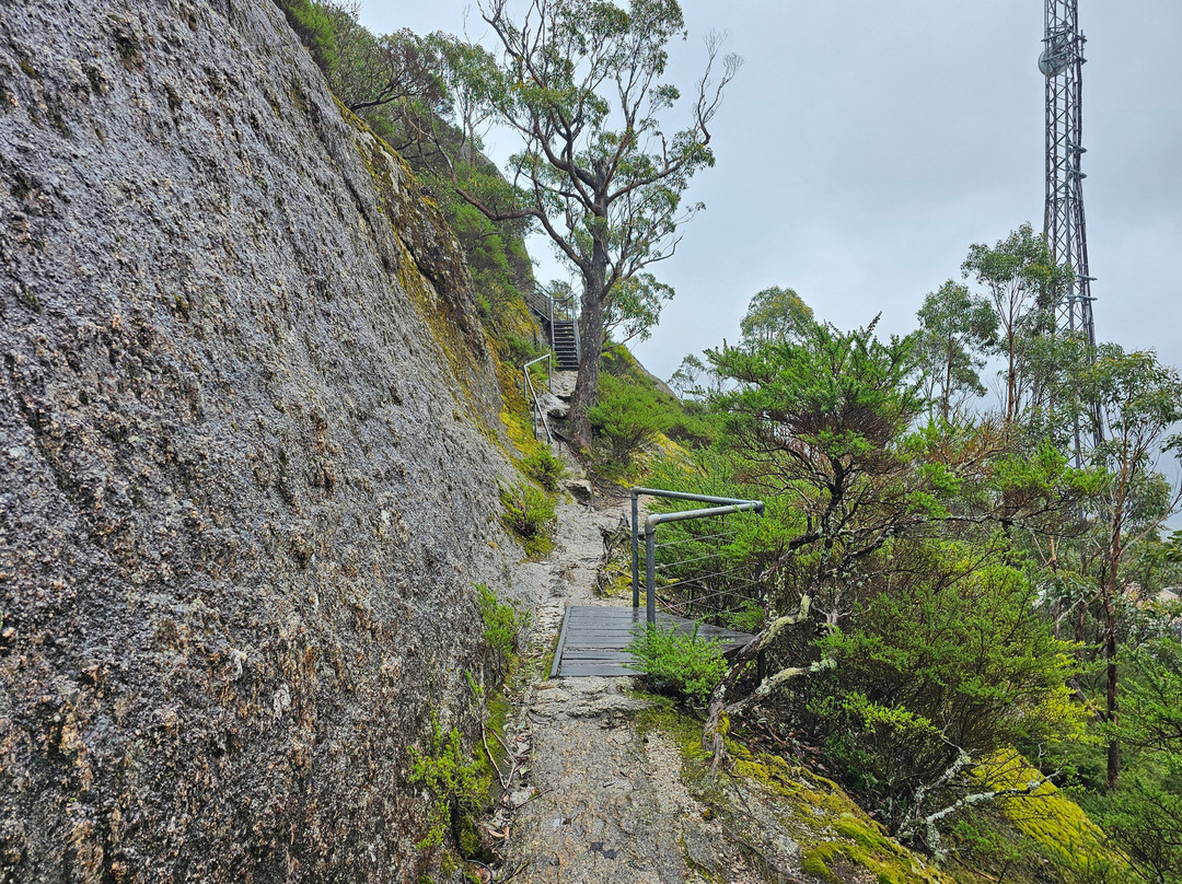 Mt Oberon Summit Walk景点图片