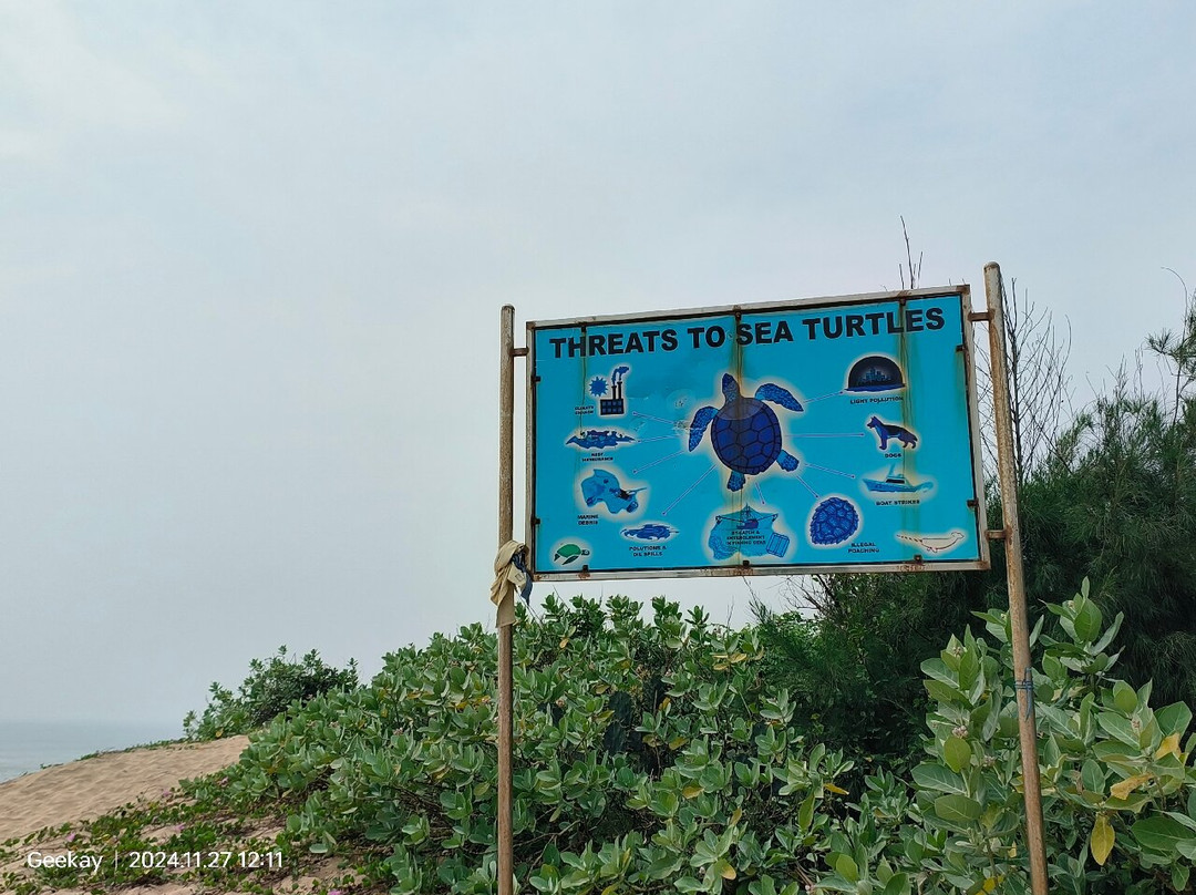 Balighai Beach-普里必去景点