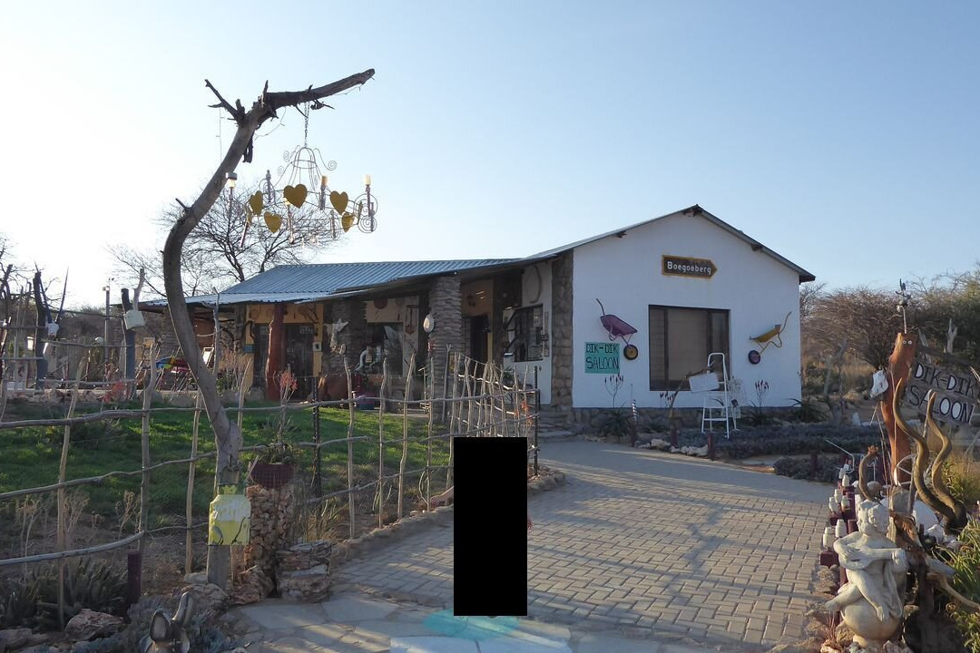 Dik-dik Saloon主图