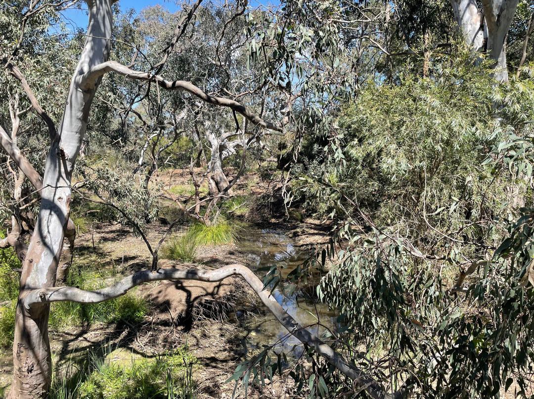 Melton Botanic Garden景点图片