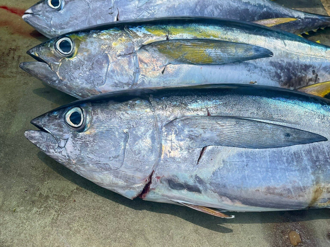 Safari and Surf-圣露西亚必去景点