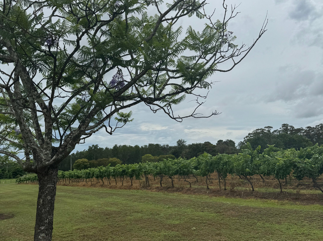 Wine D Road Tours-Rosebrook必去景点