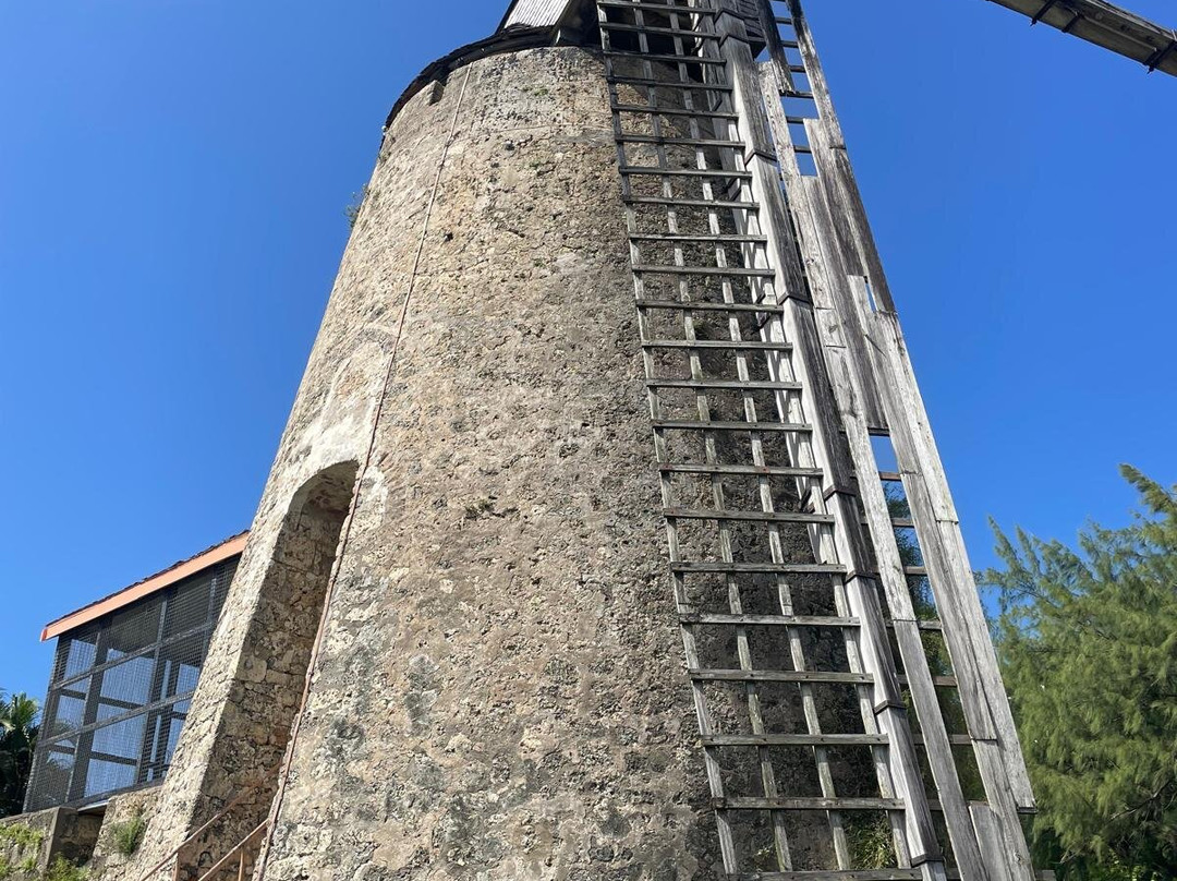 Morgan Lewis Mill-Saint Andrew Parish必去景点