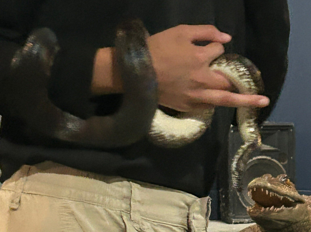 Reptilia Zoo and Education Centre Whitby-Whitby必去景点