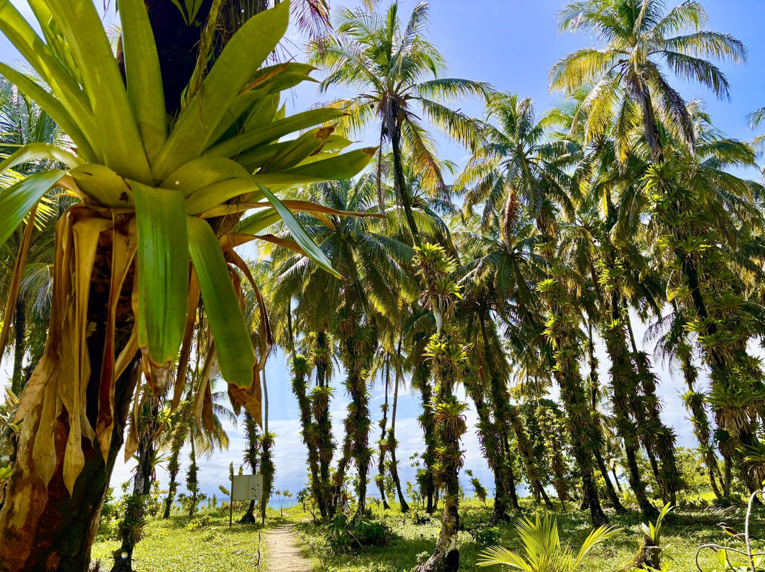 Isla Zapatillas-博卡斯德尔托罗必去景点