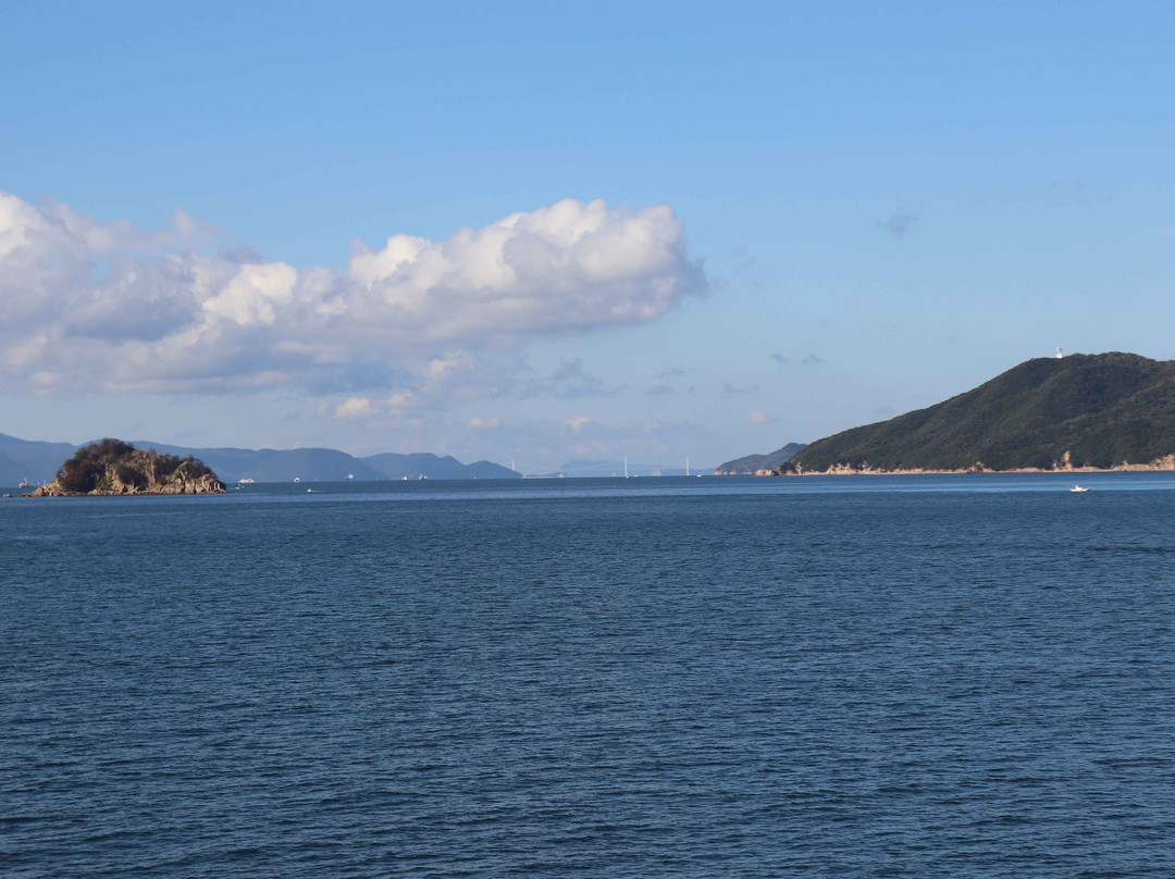 Shikoku Ferry景点图片