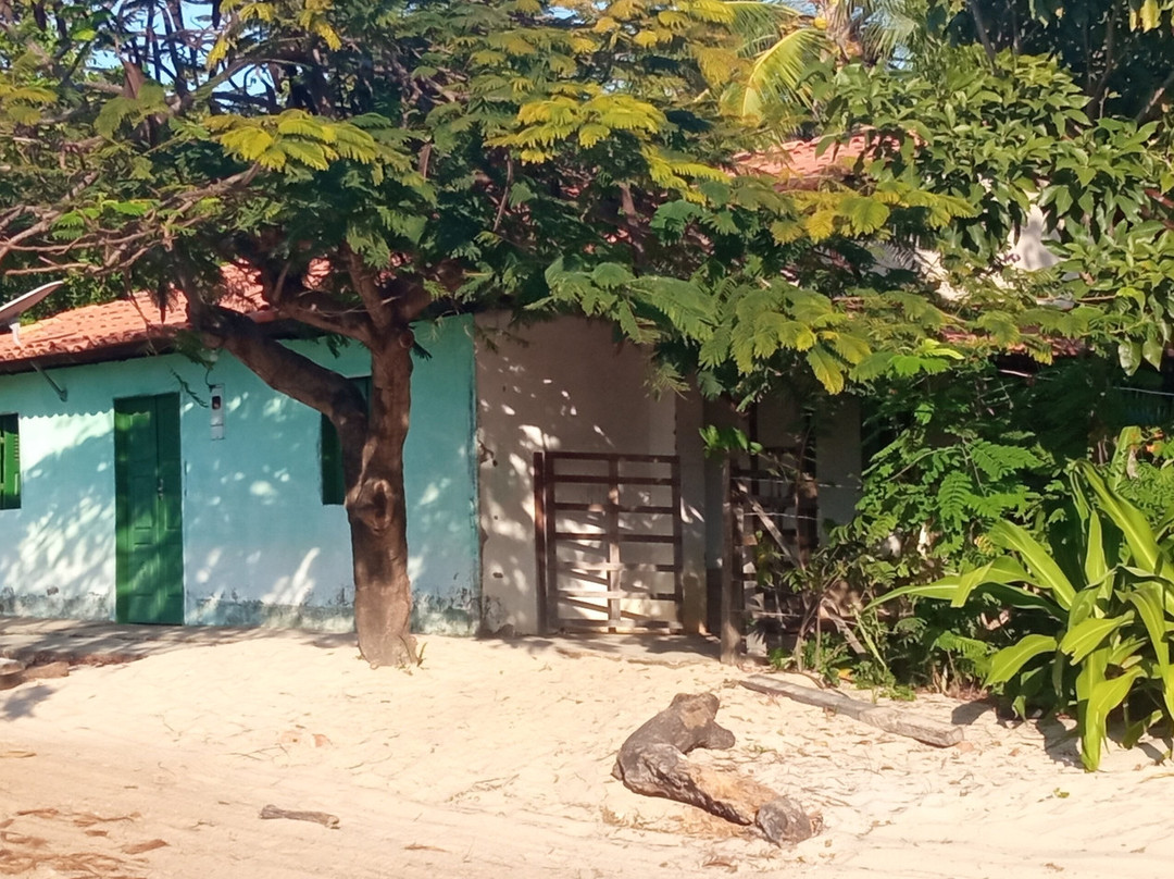 Praia de Atins景点图片