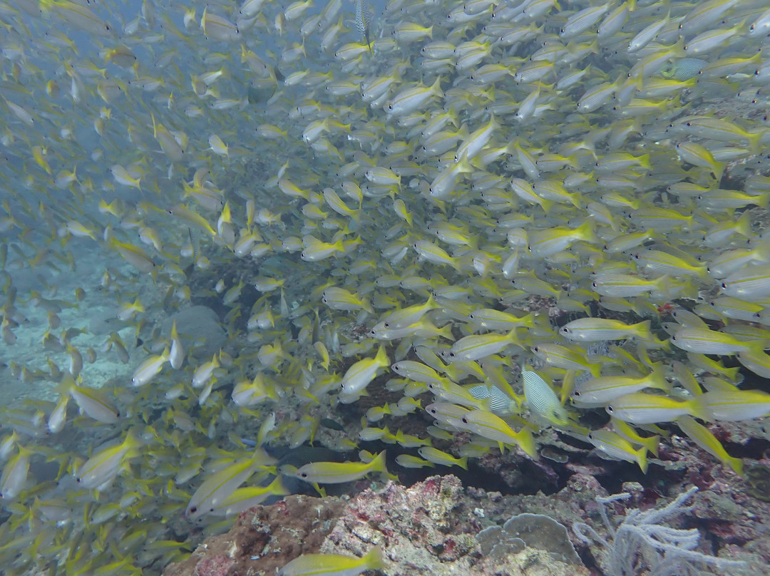 Sunrise Divers-卡伦必去景点