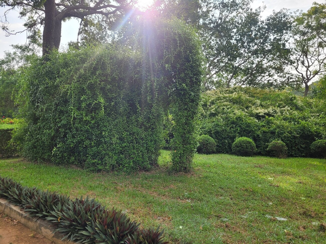 Dry Zone Botanic Gardens - Hambantota景点图片