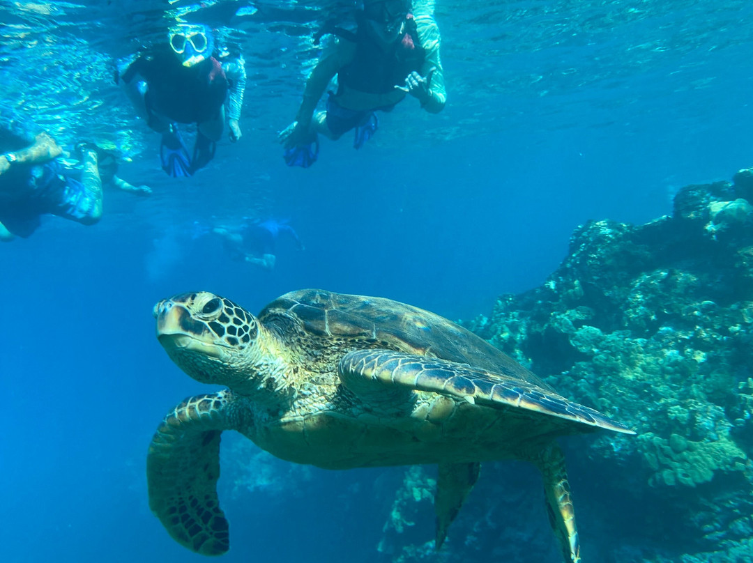 Maui Kayaks-基黑必去景点
