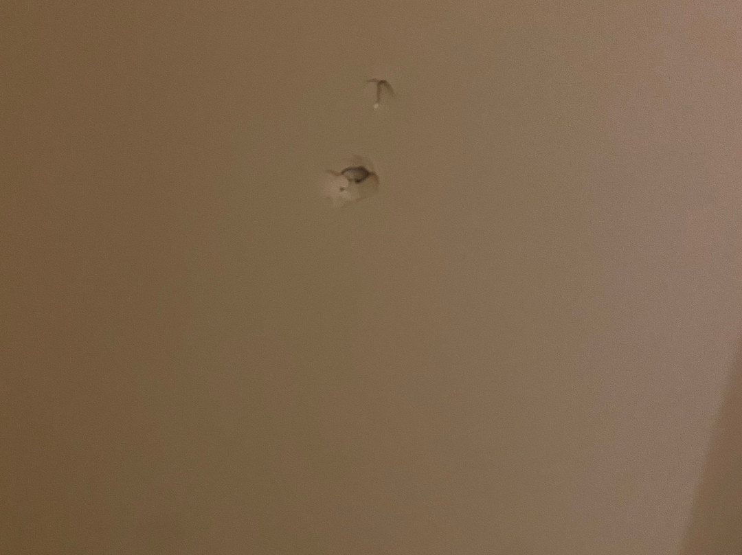 机场兹瓦嫩布尔格旅馆 主图