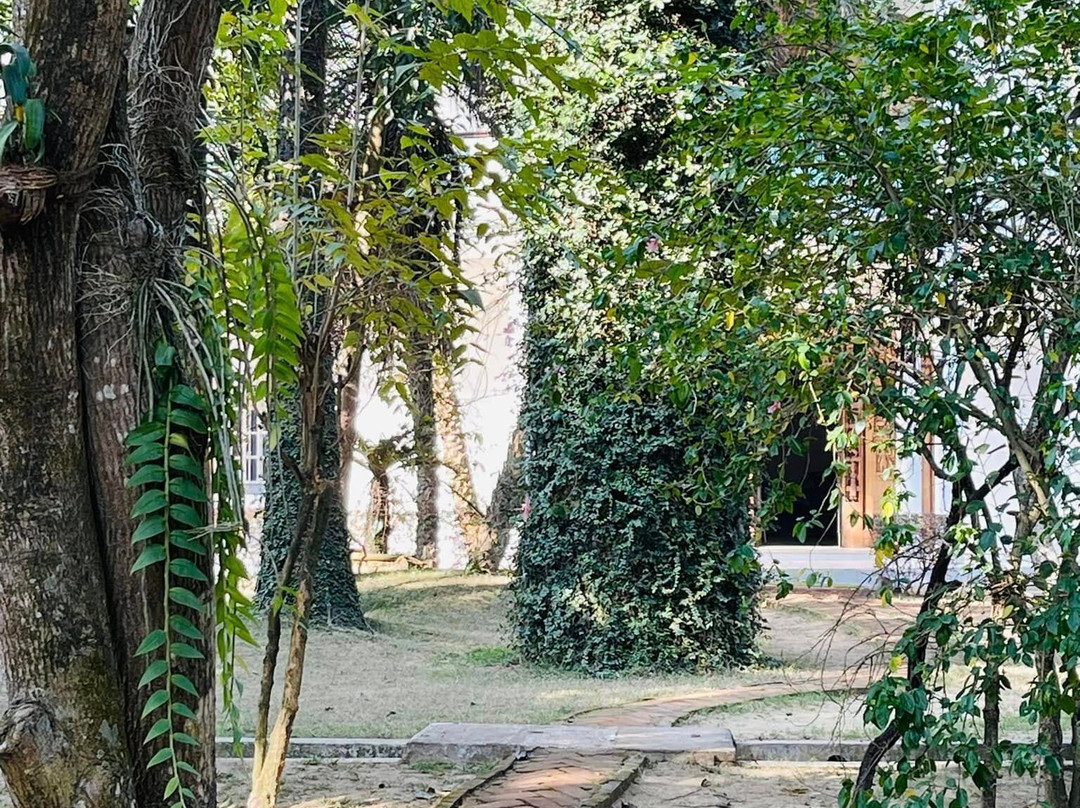 The Garden Bungalow主图