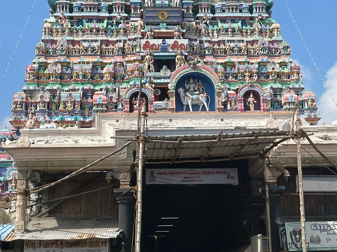 Arulmigu Nellaiappar Temple景点图片