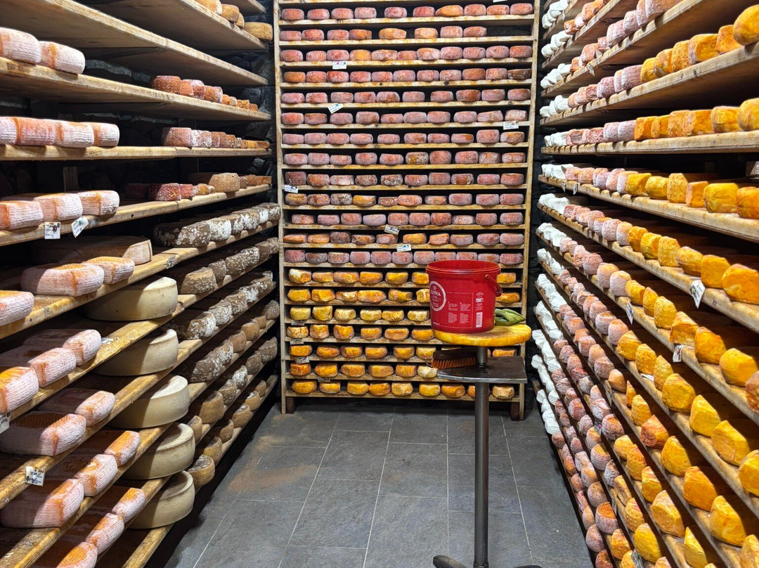 Azienda Agricola Lo Copafen景点图片
