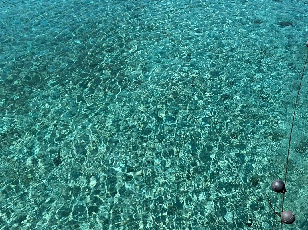 Kashiwajima Island-大月町必去景点
