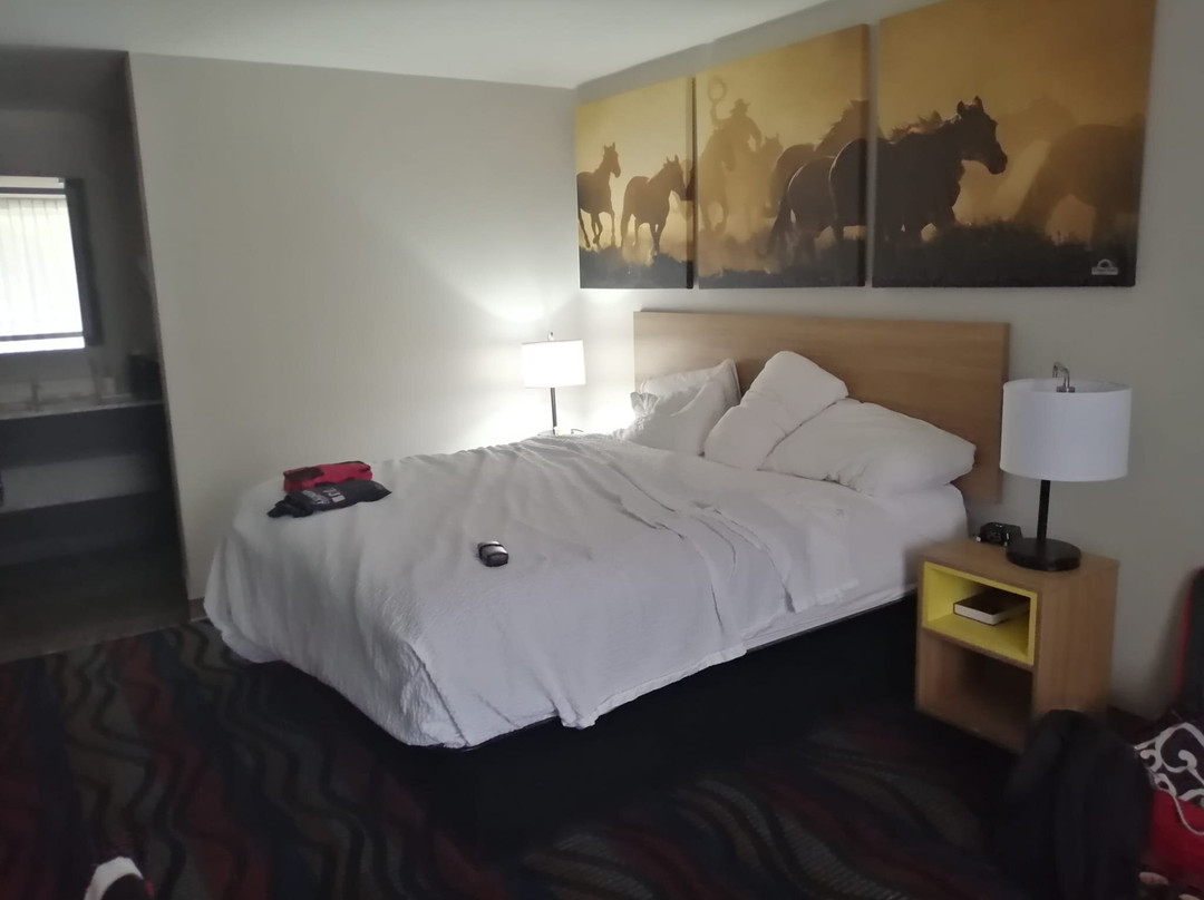 Days Inn by Wyndham Uvalde主图