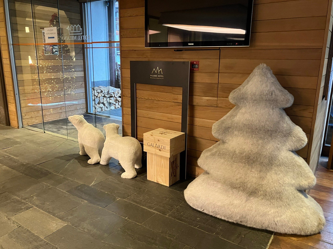 Hotel Milano - Active Hotel主图