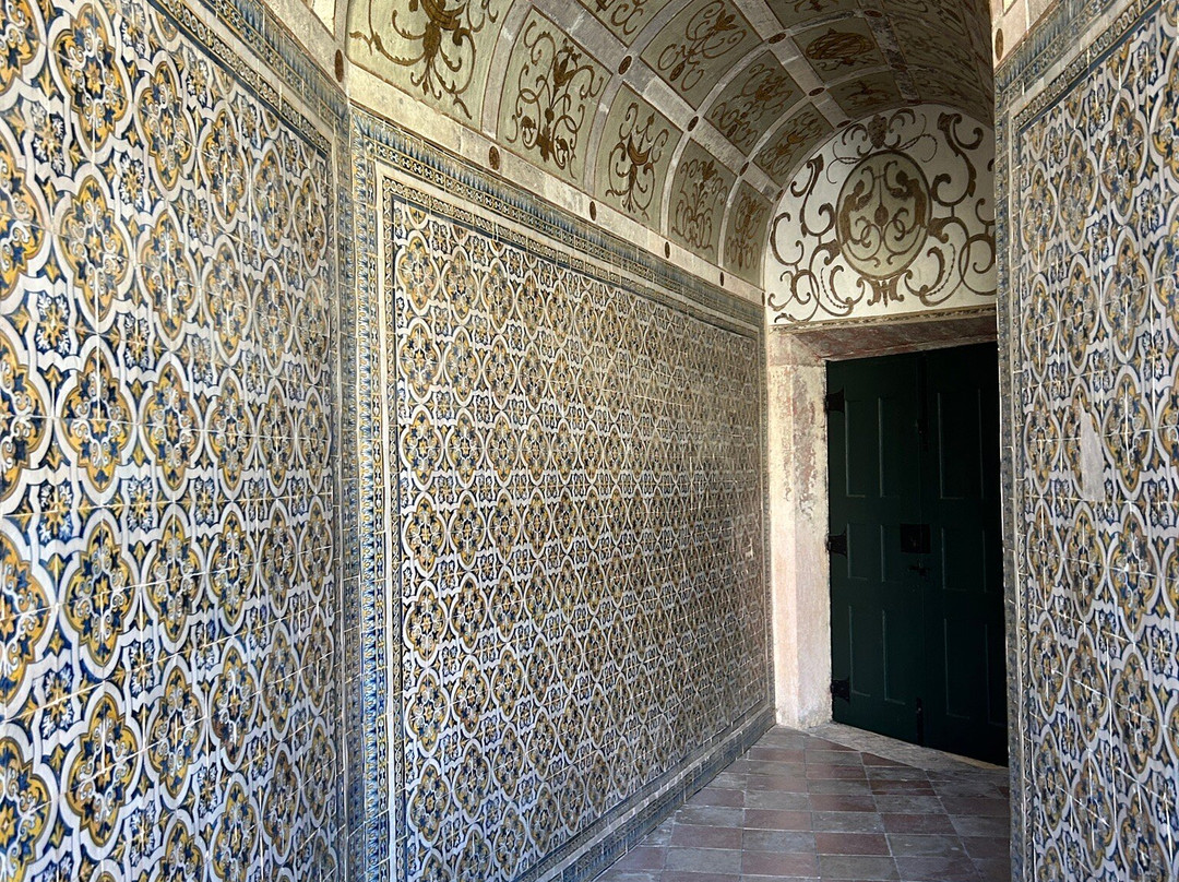 Castelo de Tomar景点图片