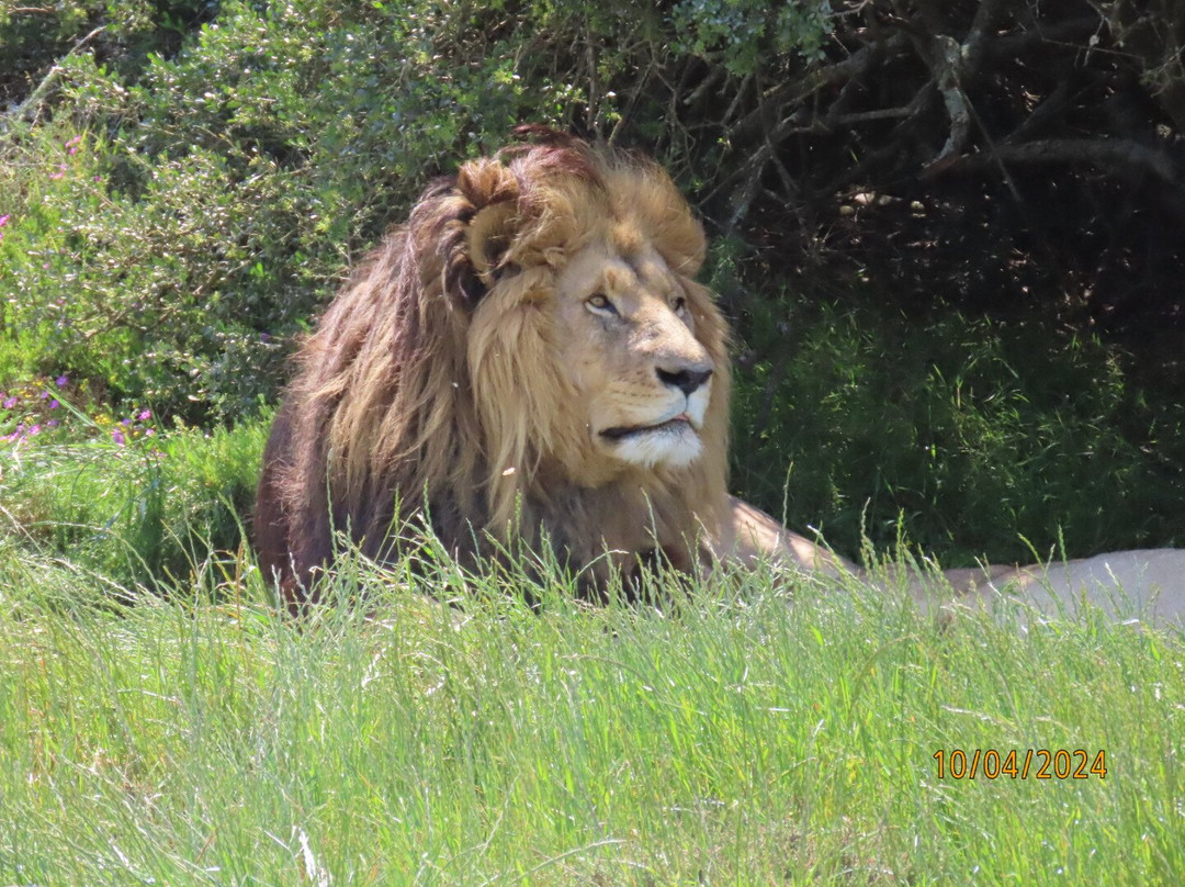 CapeXtreme Adventure Tours-开普敦中心区必去景点