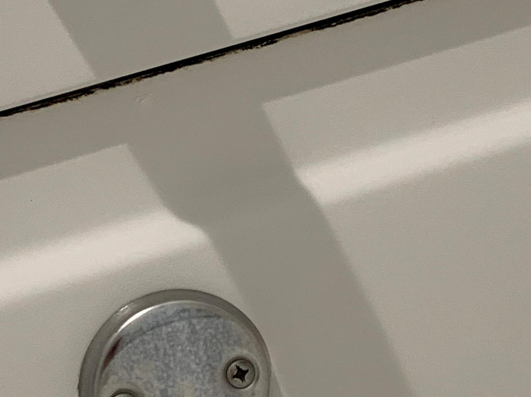 Microtel Inn & Suites by Wyndham Houma主图