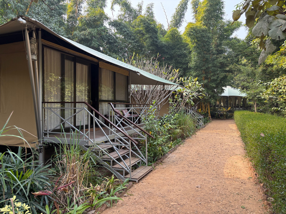 Bagh Tola, Bandhavgarh主图